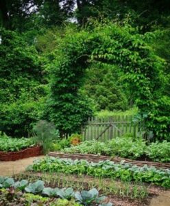 Nature et potager à l'hôtel de Savignac, Dordogne. 